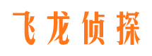 下城侦探